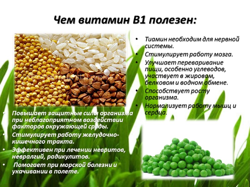 Чем витамин В1 полезен: Повышает защитные силы организма при неблагоприятном воздействии факторов окружающей среды.
